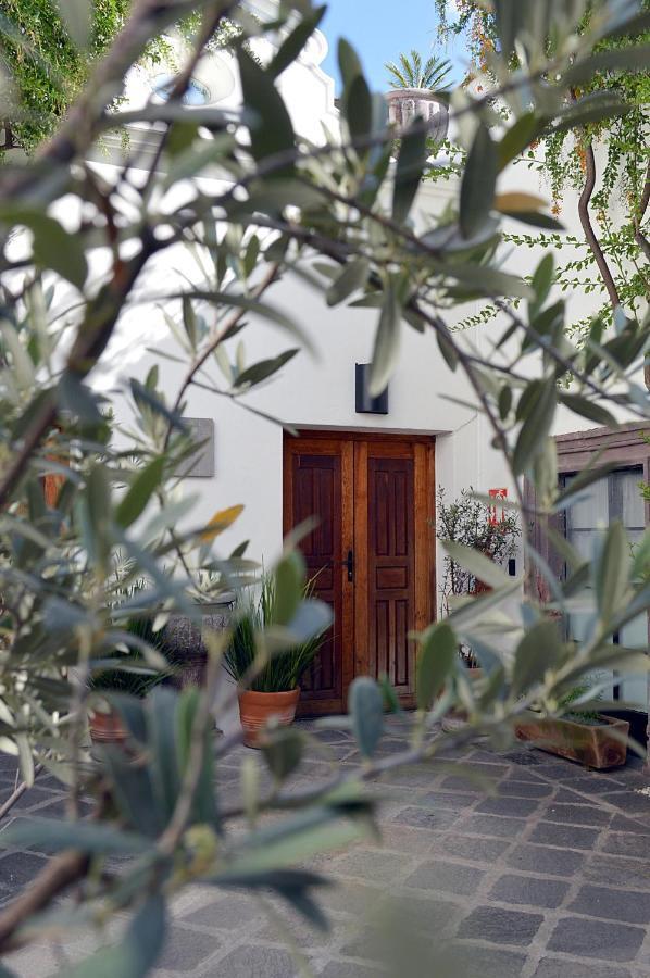 Casa De Los Olivos San Miguel de Allende Exterior photo